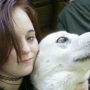 Meet your Posher, Bailey